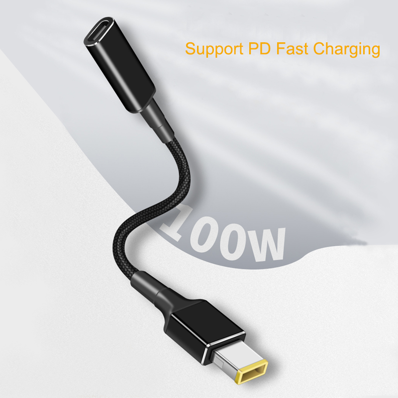 PD 100W Type C to Universal No – Laptop Lock Cable Bewertung und Preis
