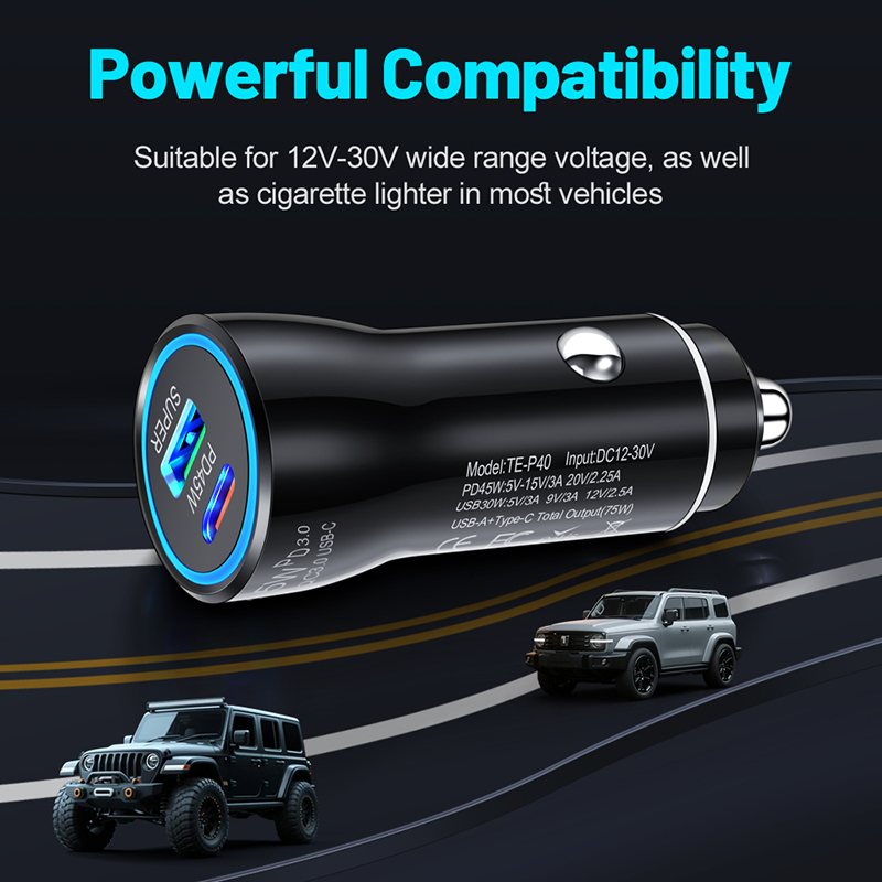 Dual Port 45W USB C Car Charge – Usb C Power Adapter Bewertung und Preis