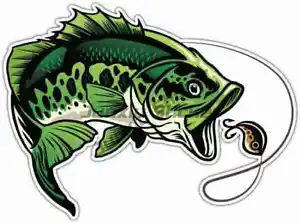 Perch Fishing Stickers Window  – Laptop Accessories Box Bewertung und Preis
